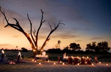 Selinda Camp