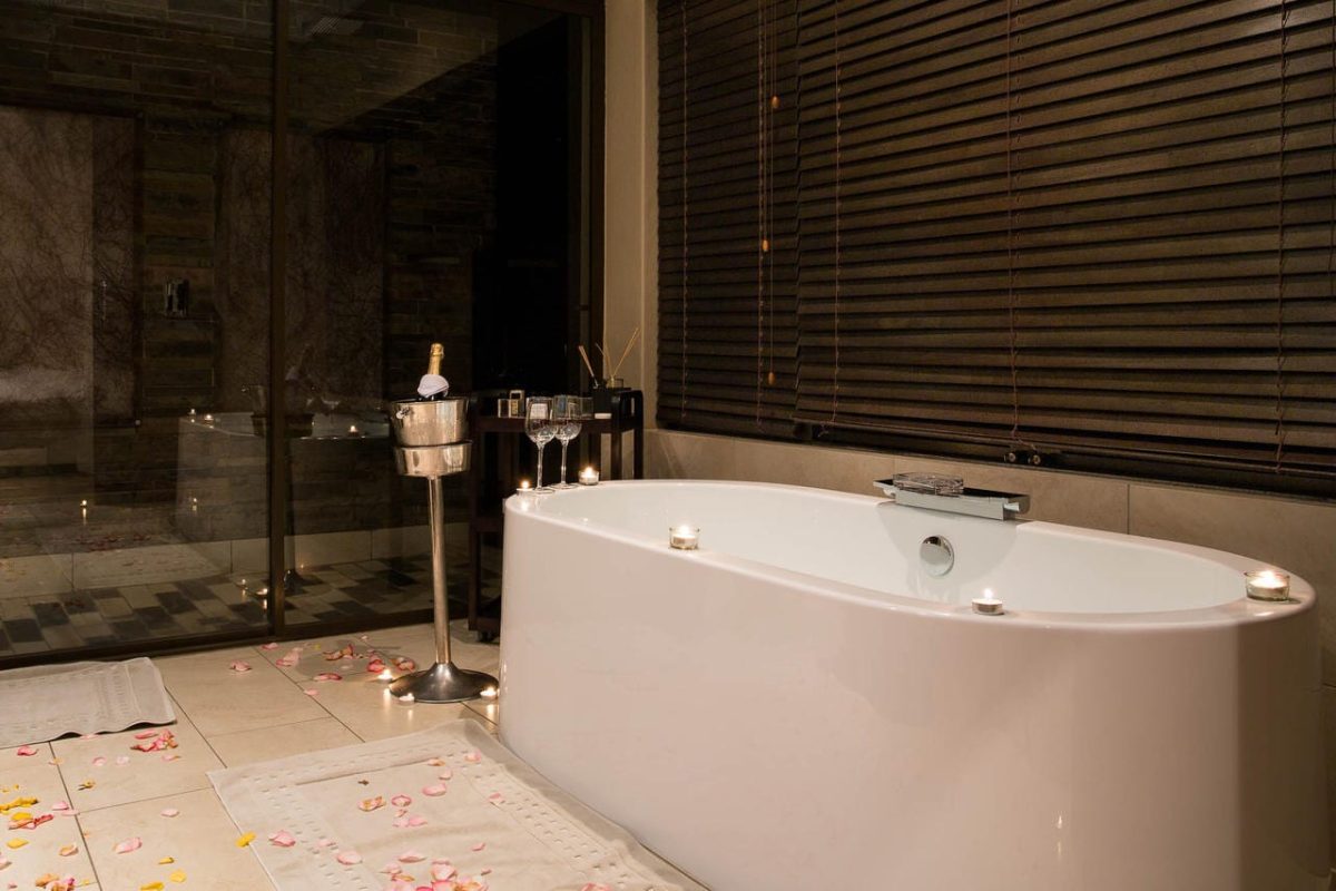 Cedarberg Travel | Shepherd's Tree Game Lodge