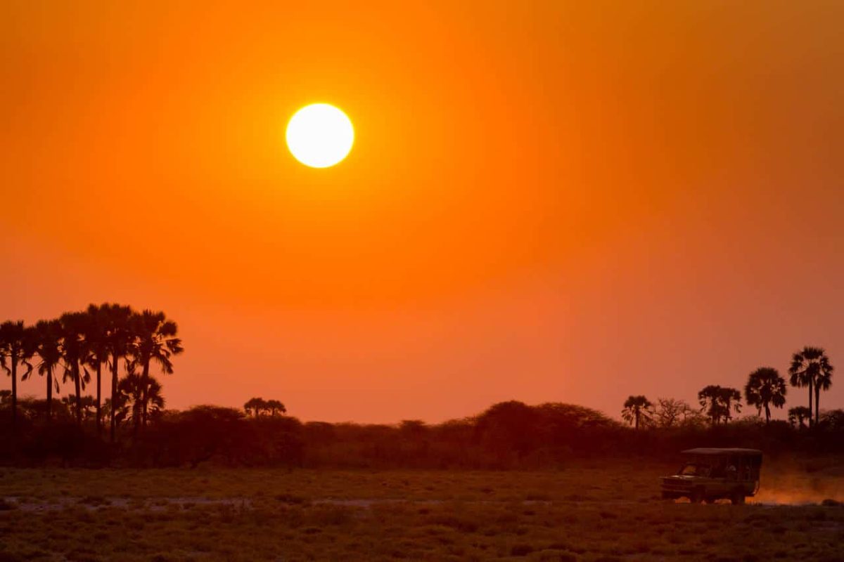 Cedarberg Travel | Onguma Bush Camp