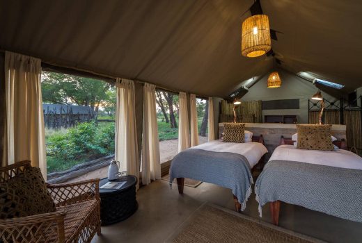 Standard Tent(s)