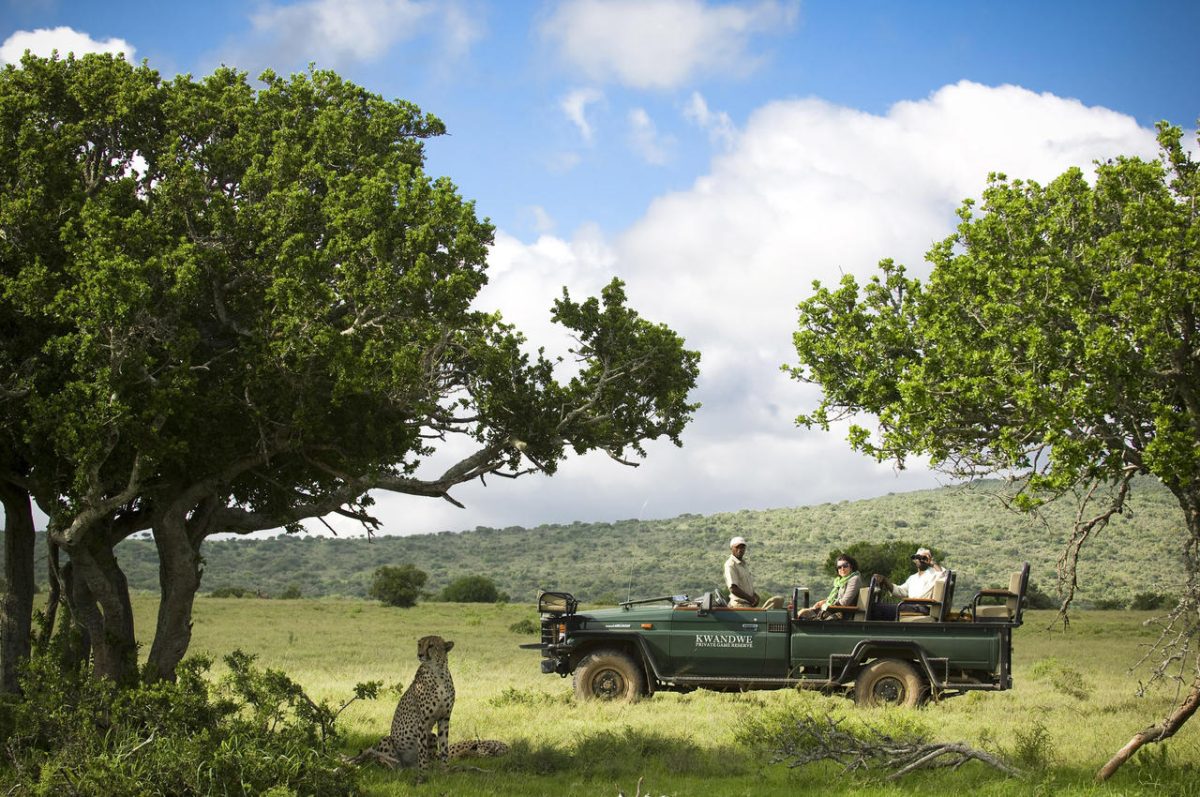 Cedarberg Travel | Kwandwe Ecca Lodge