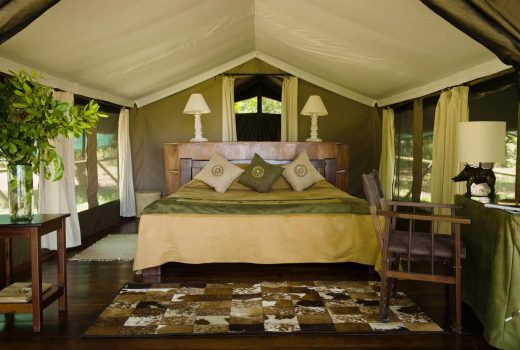 Honeymoon suite 