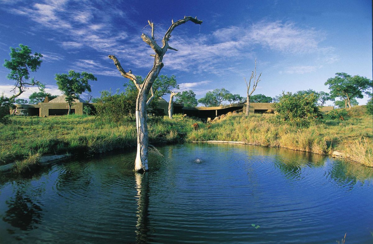 Cedarberg Travel | Sabi Sabi Earth Lodge