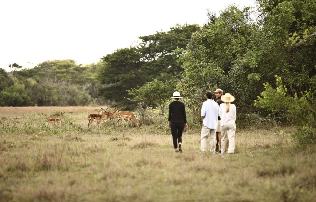 Cedarberg Travel | South Africa Safari & Beach 10 nights