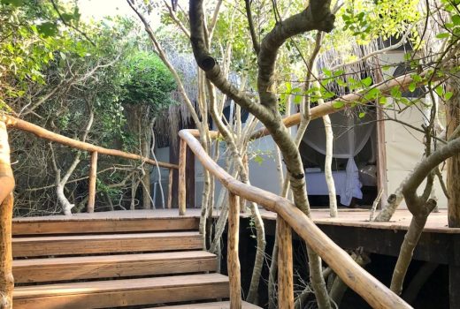 Honeymoon Suite