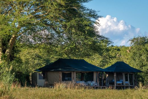 Family Tent