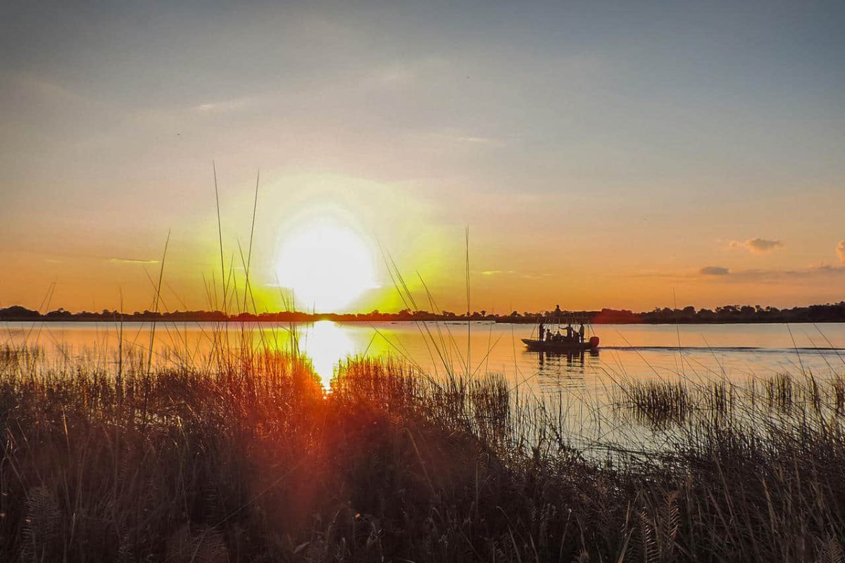 Cedarberg Travel | Discover Botswana Safari