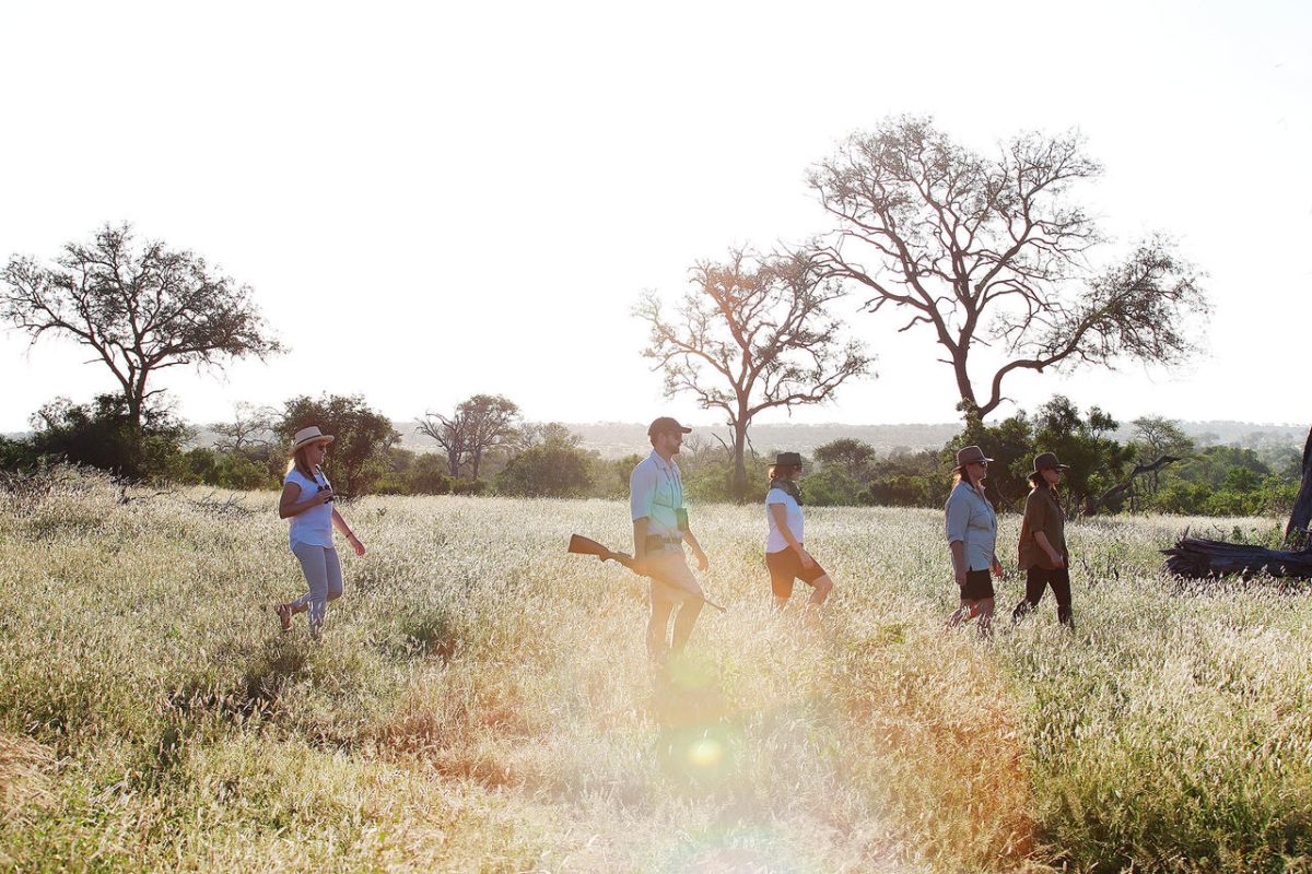 Cedarberg Travel | Londolozi Tree Camp