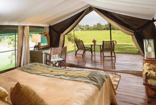 Tent