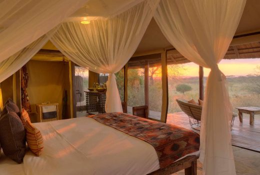 Guest Tent - 2 pax