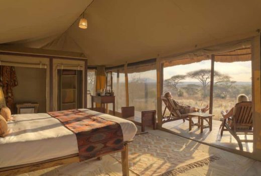 Guest Tent 