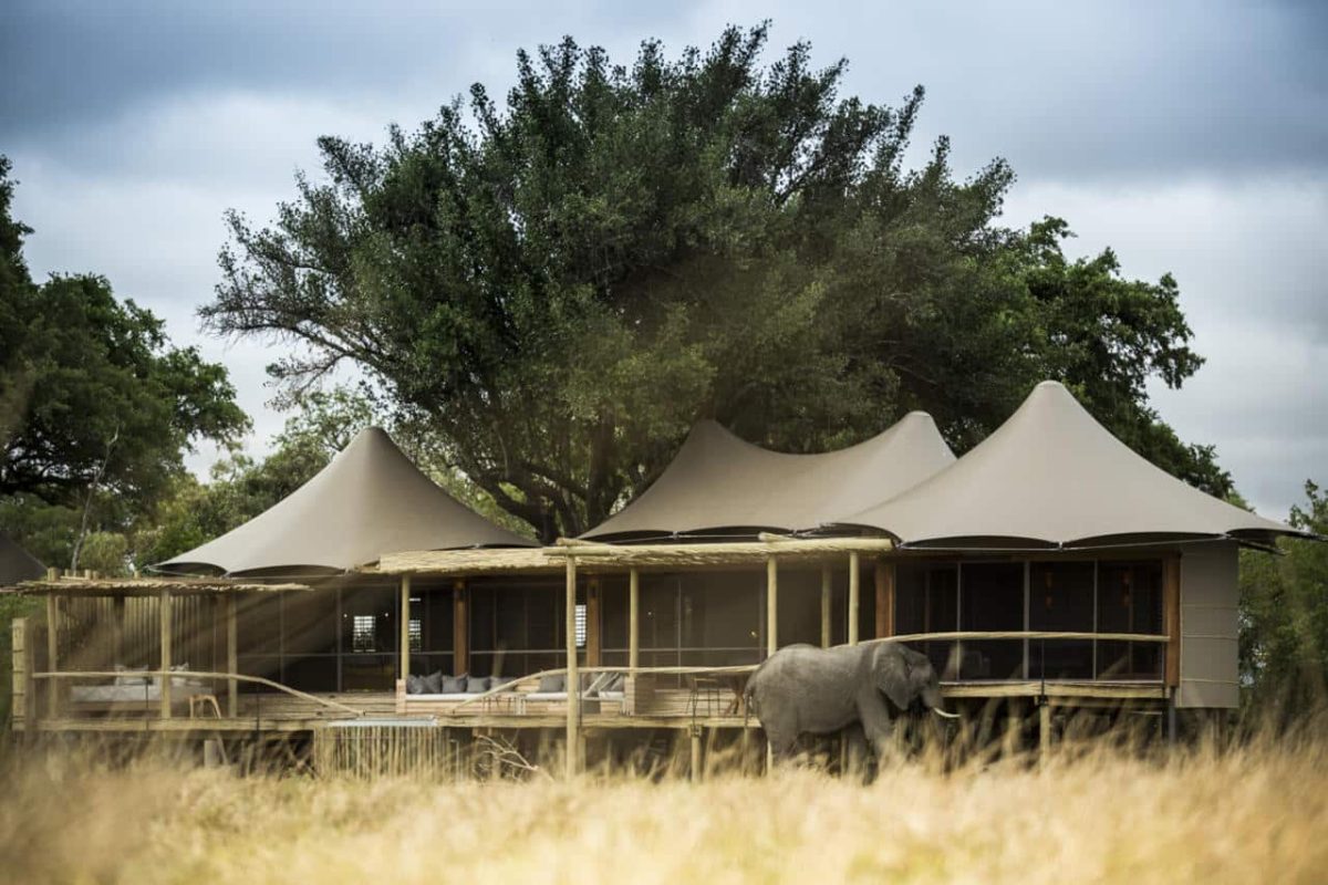 Cedarberg Travel | Little Mombo