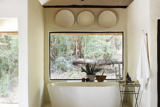Tree Camp Suites