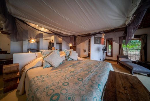 Bush suite