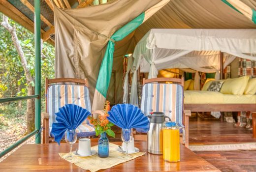 Forest Tent