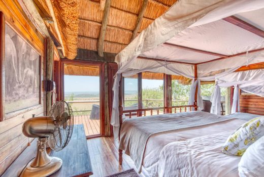 Safari Room