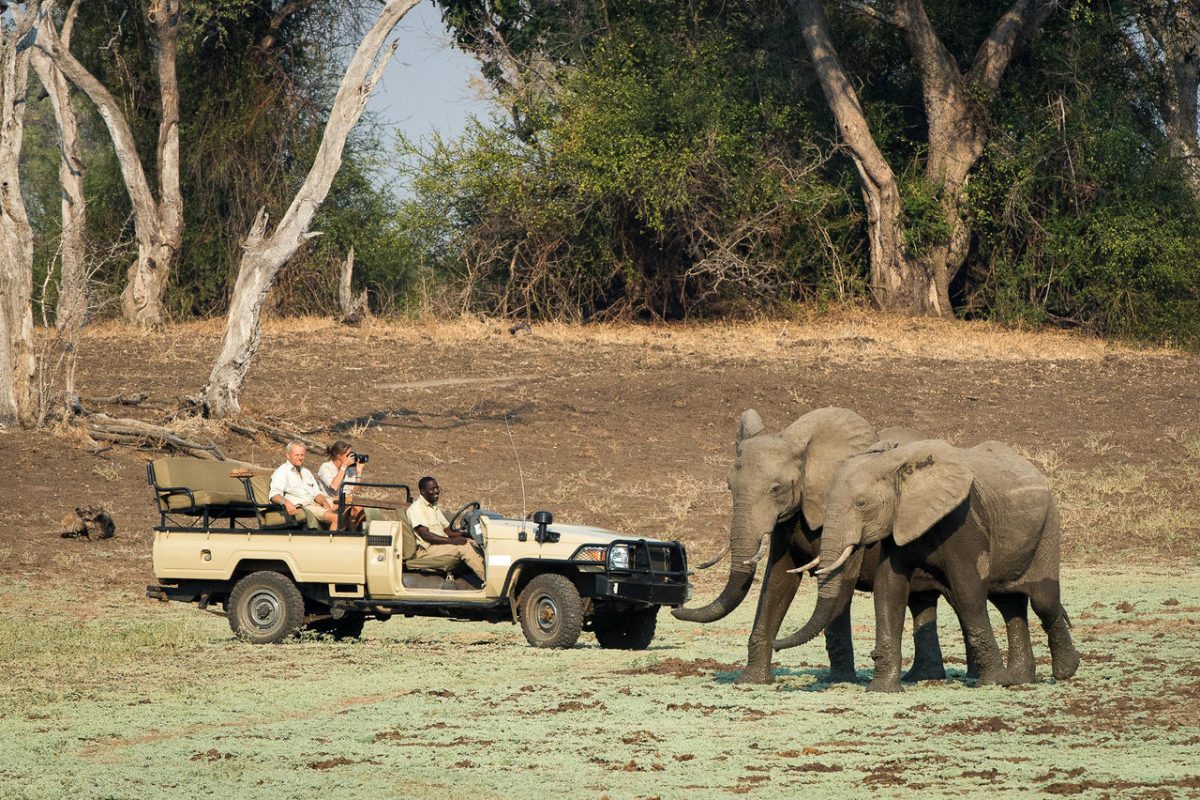 Cedarberg Travel | Tena Tena Camp