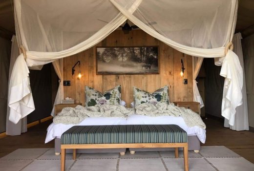 Twin Tents 