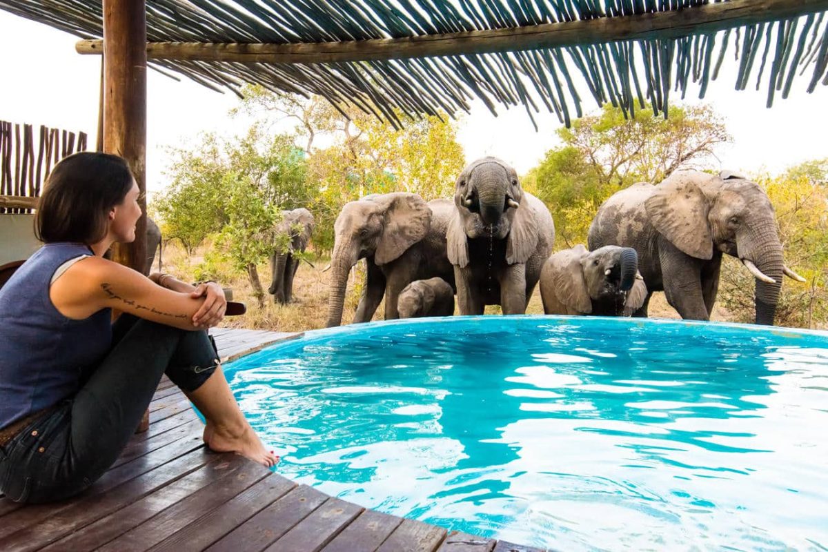 Cedarberg Travel | Africa on Foot Camp