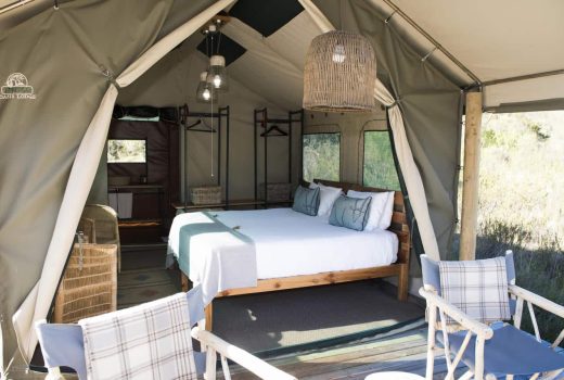 Tented Eco Camp