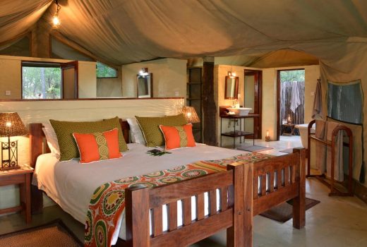 Deluxe Tent 