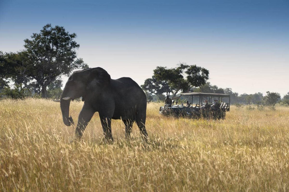 Cedarberg Travel | andBeyond Xaranna Okavango Delta Camp