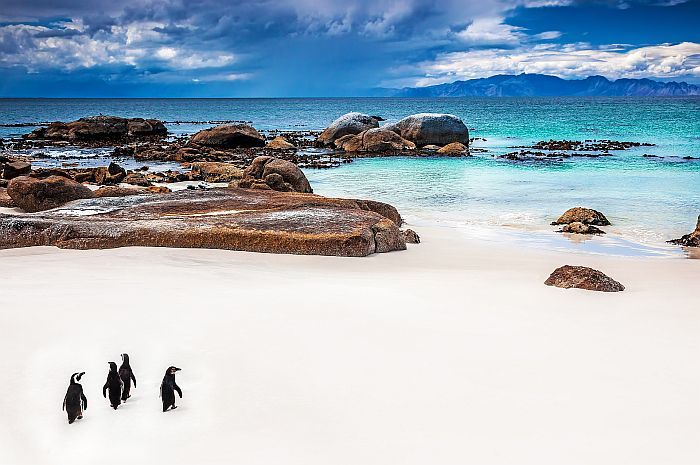 Introducing our Winter Offers for South Africa in 2026