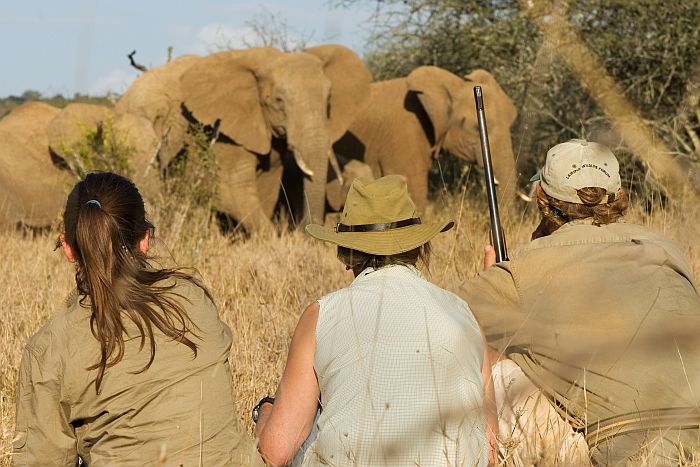 South Africa walking safaris