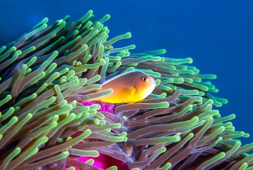 Beach & Dive Spots
