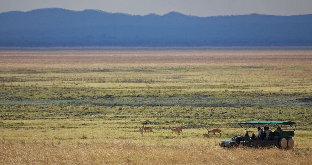 Katavi Landscape