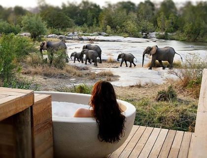 Honeymoon Destinations in Africa - Londolozi