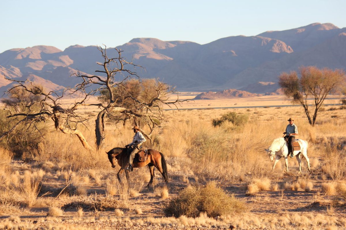 Cedarberg Travel | Desert Homestead