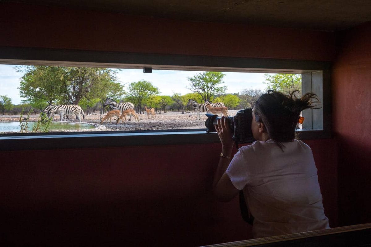 Cedarberg Travel | Andersson's @ Ongava