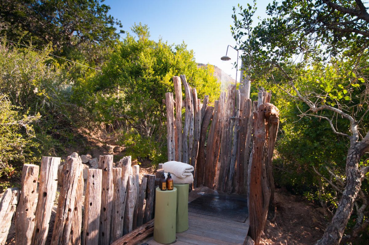 Cedarberg Travel | Amakhala HillsNek Safari Camp