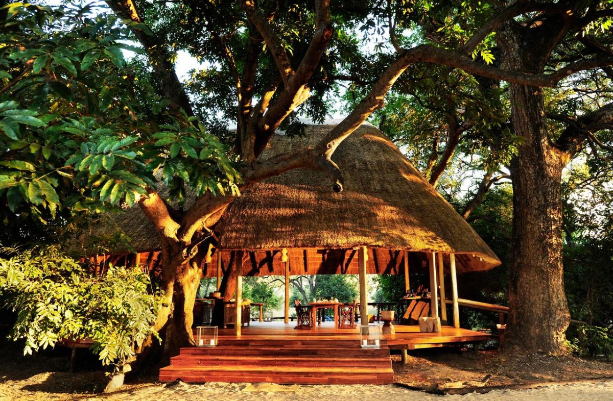 Cedarberg Travel | Bilimungwe Bush Camp