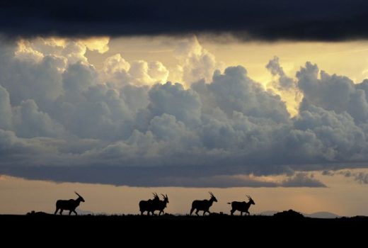 Off-the-Beaten-Track Safaris & Hidden Treasures