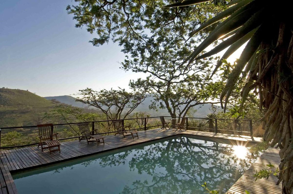 Cedarberg Travel | Three Trees at Spioenkop