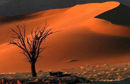 Our Top Ten Lodges in Namibia in 2026
