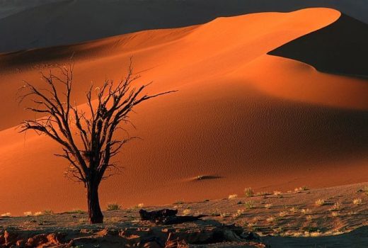 Our Top Ten Lodges in Namibia in 2026