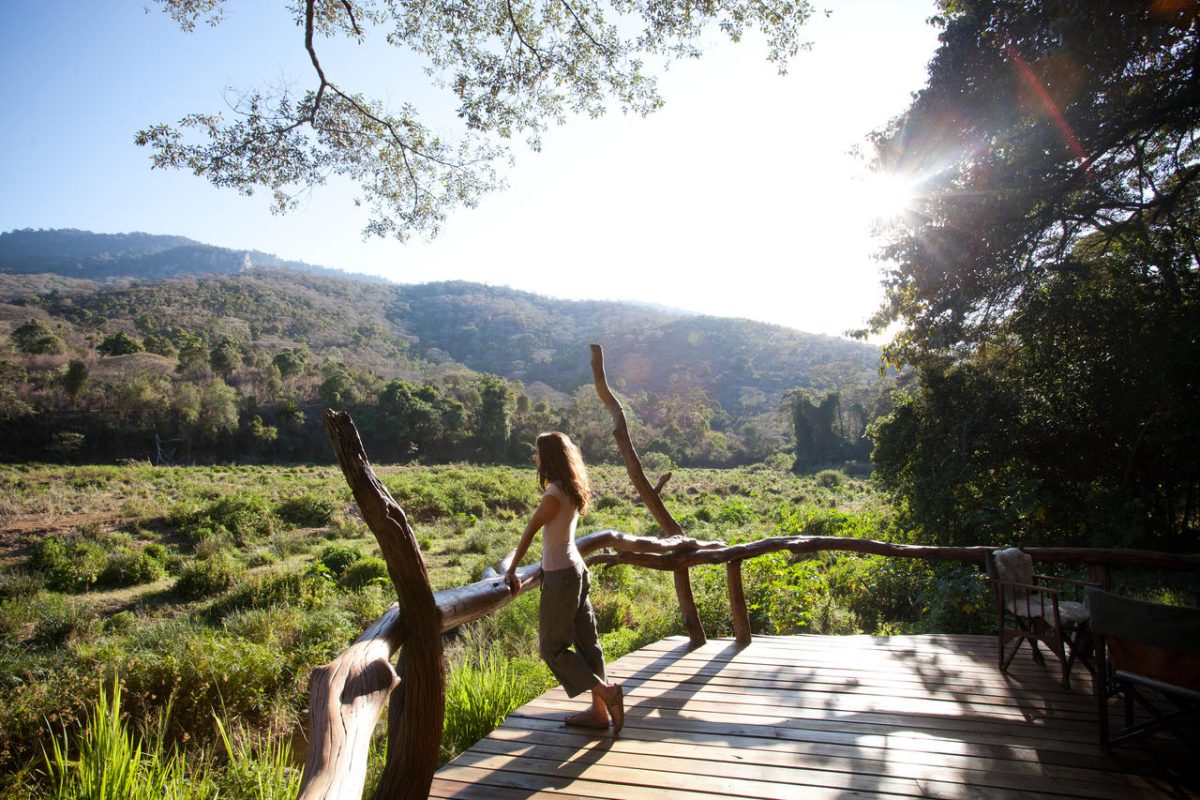 Cedarberg Travel | Kitich Forest Camp