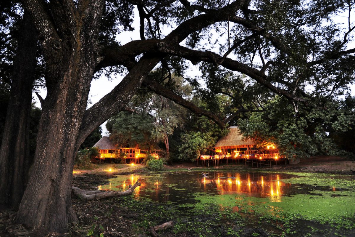 Cedarberg Travel | Bilimungwe Bush Camp