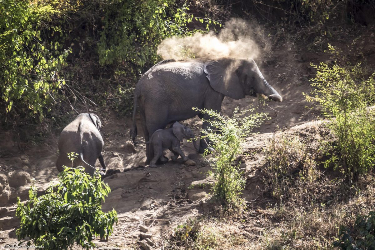 Cedarberg Travel | Kitich Forest Camp