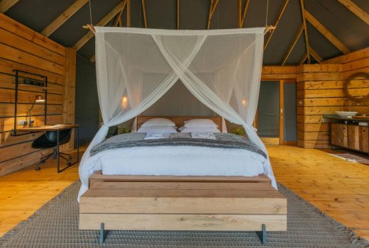Jackalberry Suite