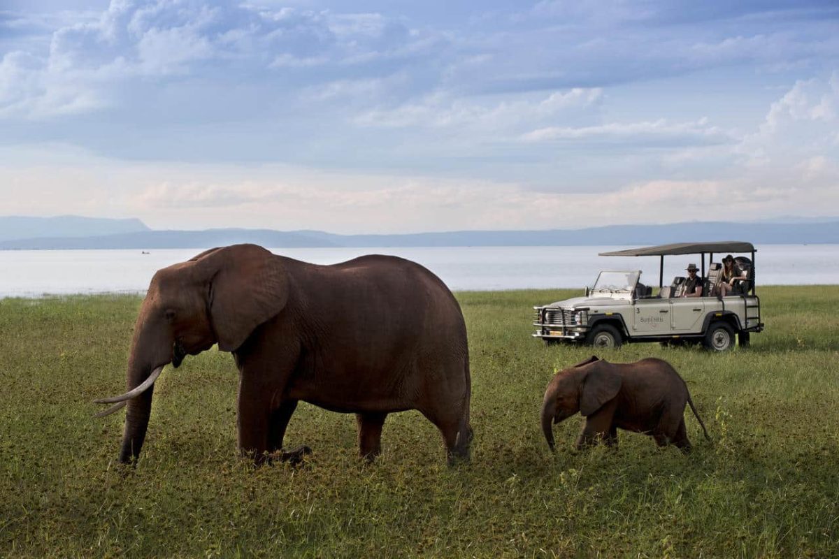 Cedarberg Travel | Bumi Hills Safari Lodge