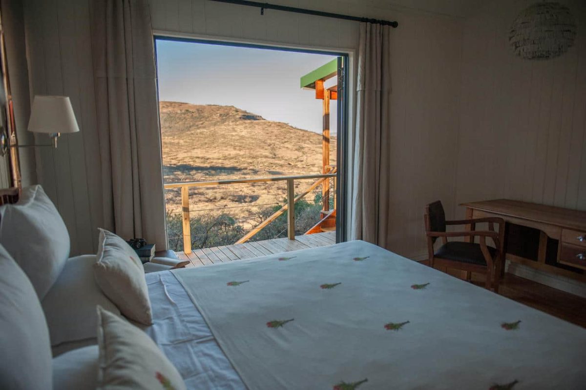 Cedarberg Travel | Three Trees at Spioenkop