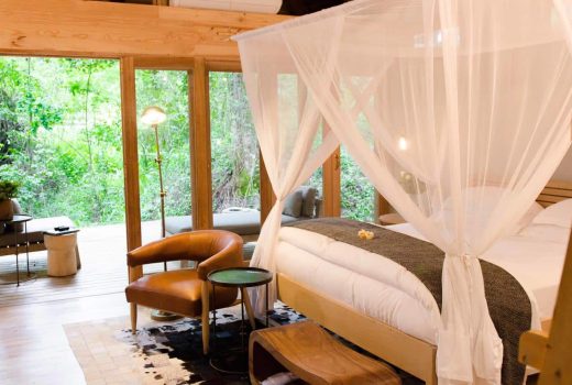 Forest Room