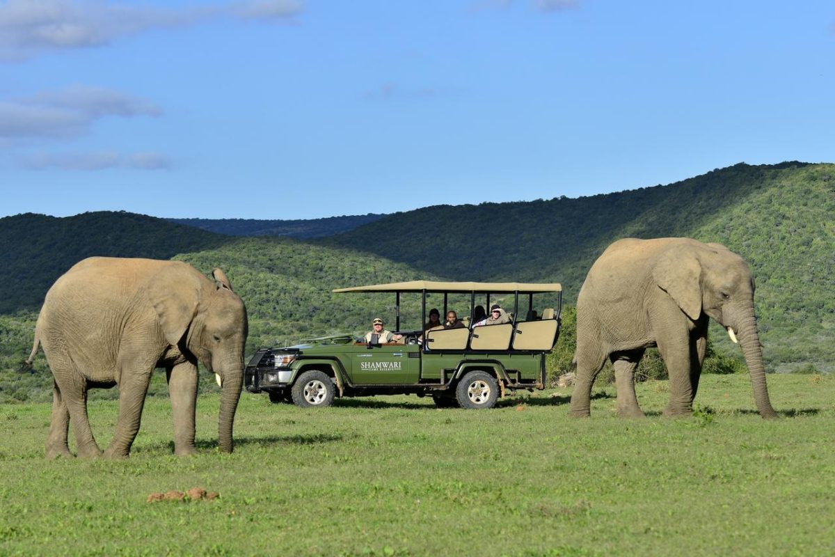 Cedarberg Travel | Eagles Crag at Shamwari Private Game Reserve