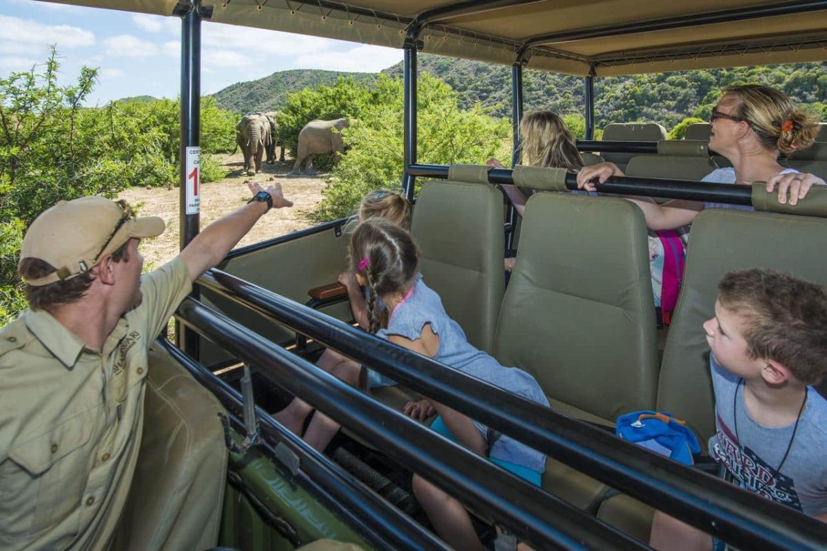 Cedarberg Travel | Shamwari Riverdene