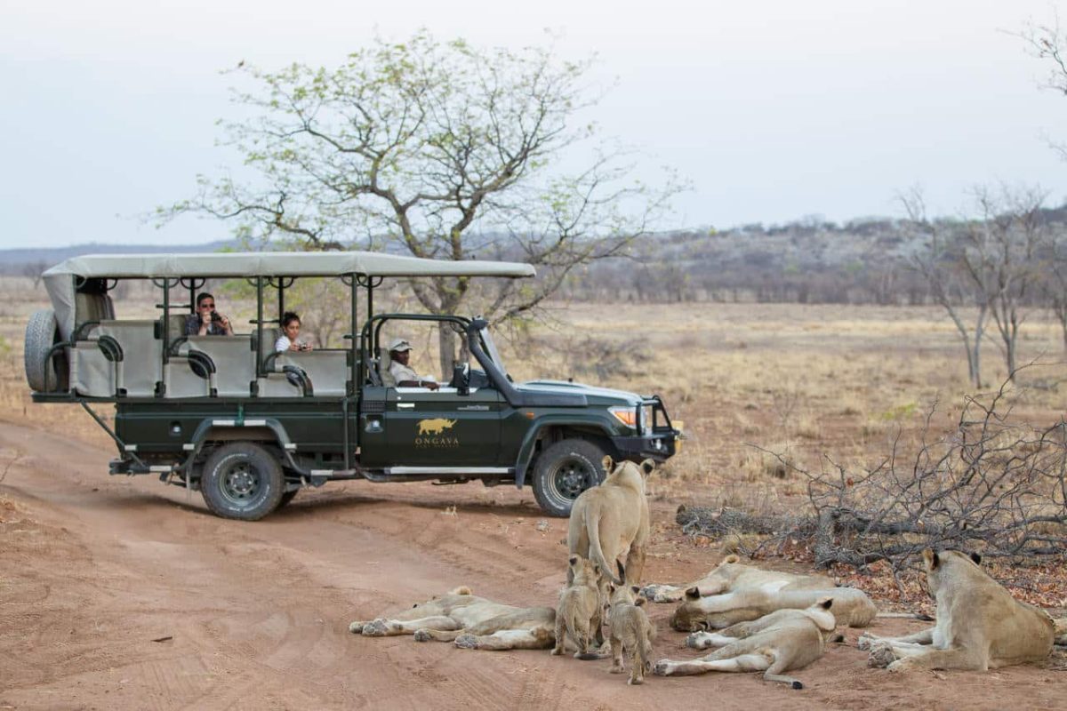 Cedarberg Travel | Andersson's @ Ongava