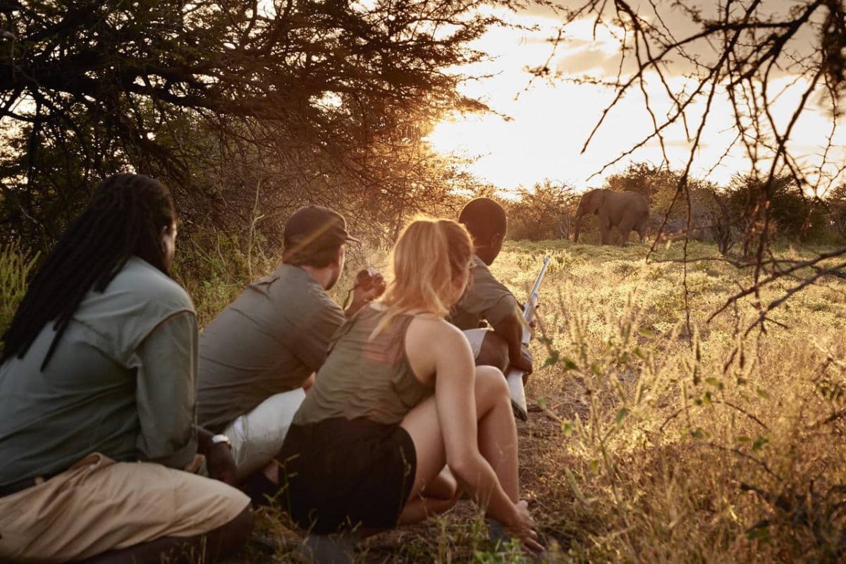 Cedarberg Travel | Zimbabwe Roaming Safari by Road
